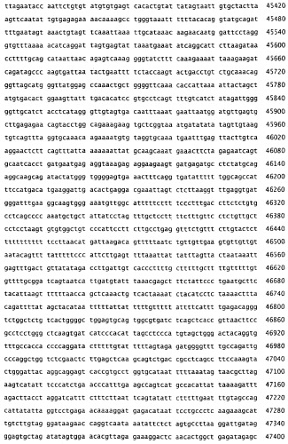 Применение s1p (патент 2362565)