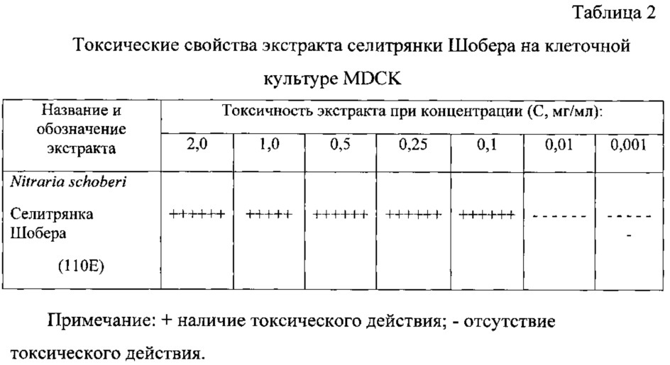 Противовирусное средство на основе экстракта культуры "бородатых корней" ("hairy roots") селитрянки шобера (nitraria schoberi l.) (патент 2615376)