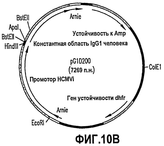 Композиции и способы связывания сфингозин-1-фосфата (патент 2460541)