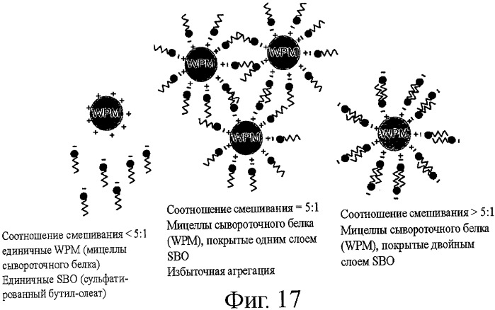 Мицеллы белка молочной сыворотки (патент 2417622)