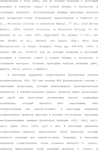 Полимеры изопрена из возобновляемых источников (патент 2505605)