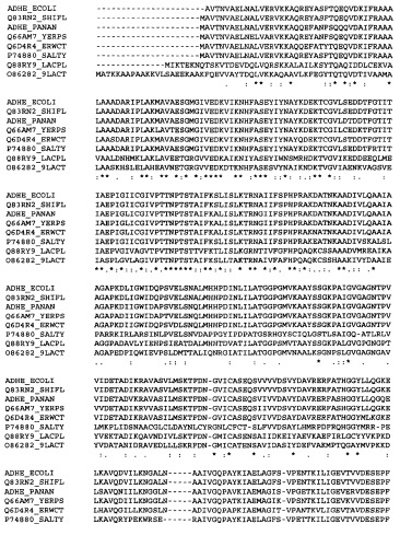 Способ получения l-аминокислот с использованием бактерии семейства enterobacteriaceae (патент 2364628)