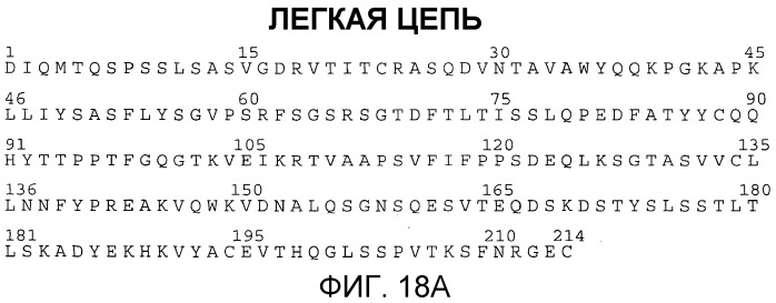 Антитела против c3b и способы профилактики и лечения связанных с комплементом нарушений (патент 2473563)