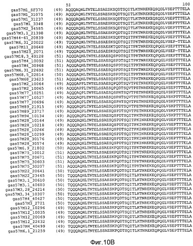 Мутантные антигены gas57 и антитела против gas57 (патент 2471497)