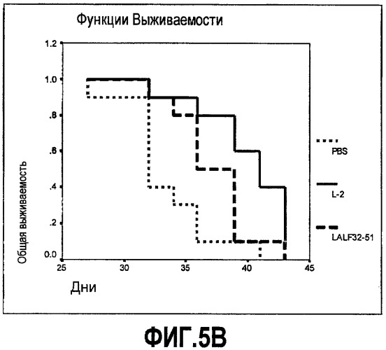 Иммуномодулирующие и противоопухолевые пептиды (патент 2430109)