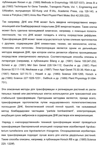 Способ повышения стойкости к стрессовым факторам в растениях (патент 2375452)