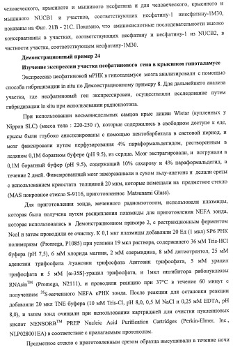 Способ получения фактора, связанного с контролем над потреблением пищи и/или массой тела, полипептид, обладающий активностью подавления потребления пищи и/или прибавления в весе, молекула нуклеиновой кислоты, кодирующая полипептид, способы и применение полипептида (патент 2418002)