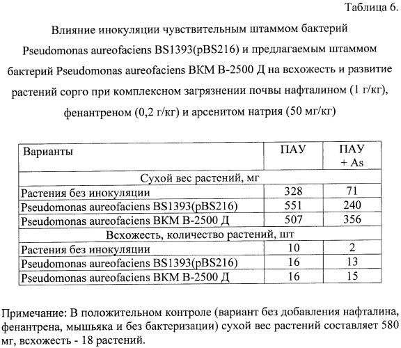 Штамм бактерий pseudomonas aureofaciens вкм в-2500 д для биодеградации полициклических ароматических углеводородов в условиях загрязнения почв арсенитом натрия (патент 2396338)