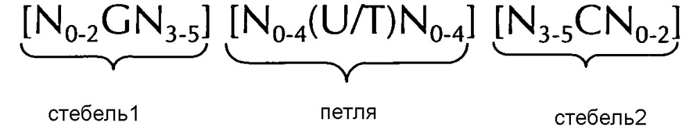 Нуклеиновая кислота, содержащая или кодирующая структуру "стебель-петля" гистонов и последовательность поли(а) или сигнал полиаденилирования, для повышения экспрессии кодируемого терапевтического белка (патент 2634391)