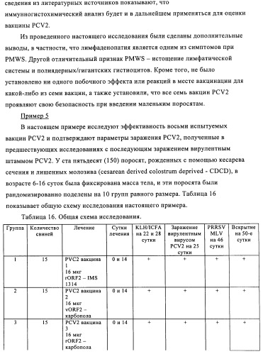 Поливалентные иммуногенные композиции pcv2 и способы получения таких композиций (патент 2488407)