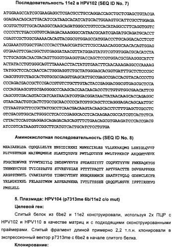 Полинуклеотидная последовательность, кодирующая полипептид вируса папилломы человека, ее применение, а также содержащие ее вектор и фармацевтическая композиция (патент 2354701)