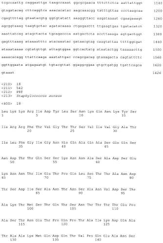 Стабильные иммуногенные композиции антигенов staphylococcus aureus (патент 2570730)