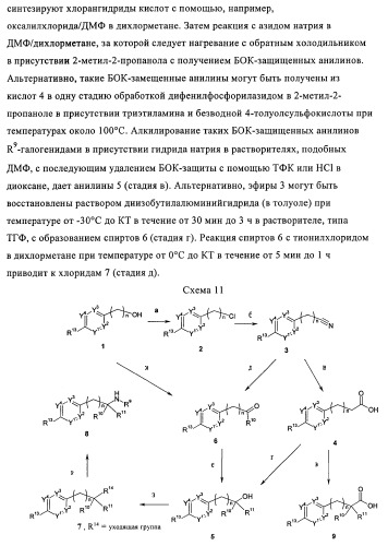 Фенильные производные в качестве ppar агонистов (патент 2374230)