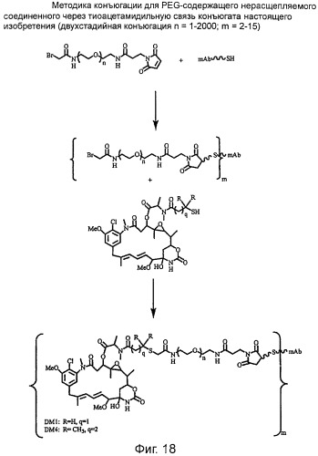 Высокоэффективные конъюгаты и гидрофильные сшивающие агенты (линкеры) (патент 2487877)