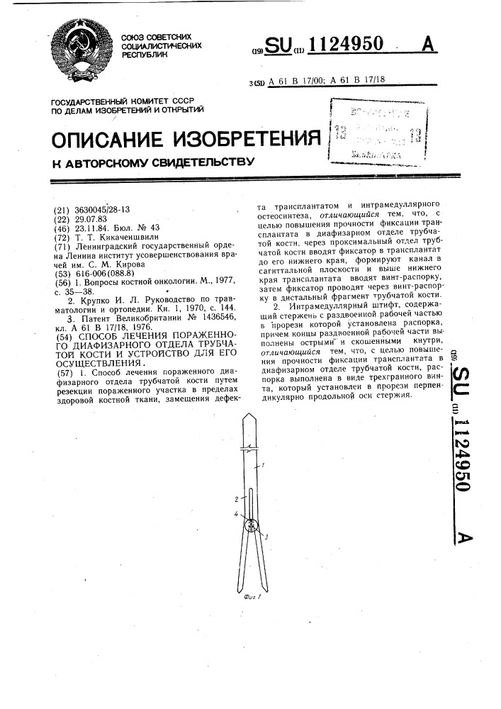 Способ лечения пораженного диафизарного отдела трубчатой кости и устройство для его осуществления (патент 1124950)