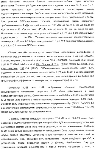 Применение il-28 и il-29 для лечения карциномы и аутоиммунных нарушений (патент 2389502)