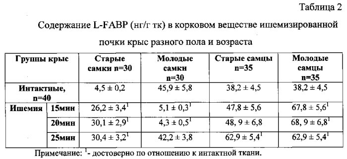 Способ прогнозирования развития острого повреждения почки в условиях тепловой ишемии в эксперименте в зависимости от возраста и пола животных (патент 2583950)