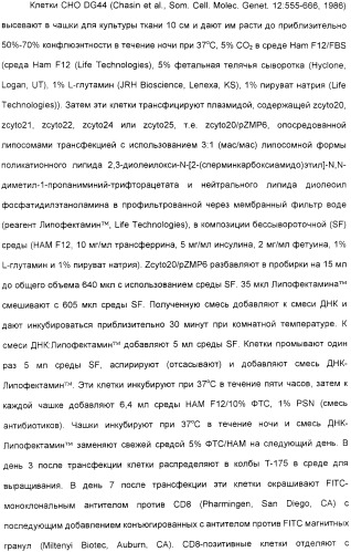 Выделенный полипептид, обладающий антивирусной активностью (варианты), кодирующий его полинуклеотид (варианты), экспрессирующий вектор, рекомбинантная клетка-хозяин, способ получения полипептида, антитело, специфичное к полипептиду, и фармацевтическая композиция, содержащая полипептид (патент 2321594)