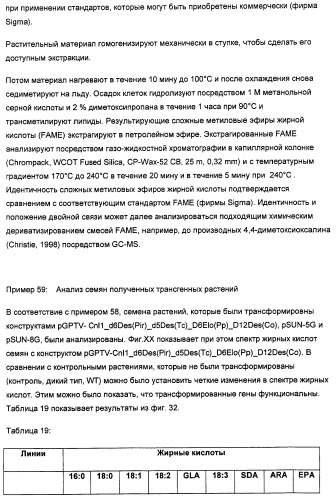 Способ получения полиненасыщенных кислот жирного ряда в трансгенных организмах (патент 2447147)