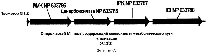 Топливные композиции, содержащие производные изопрена (патент 2531623)