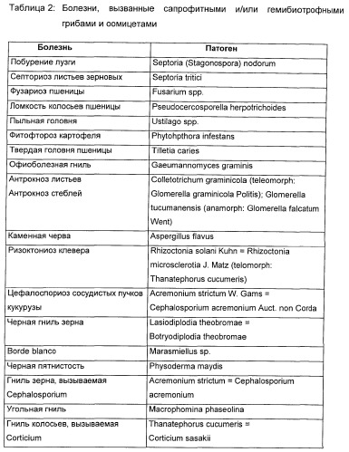 Способ повышения стойкости к стрессовым факторам в растениях (патент 2375452)