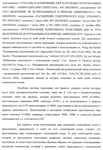 Система экспрессии компонентов ортогональной трансляции в эубактериальной клетке-хозяине (патент 2467069)