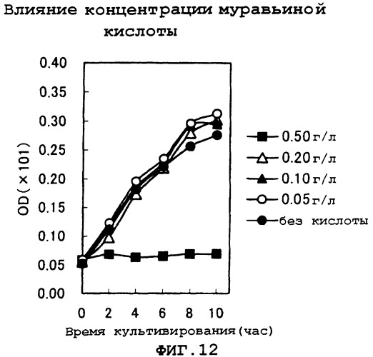 Способ получения l-глутаминовой кислоты (патент 2288271)