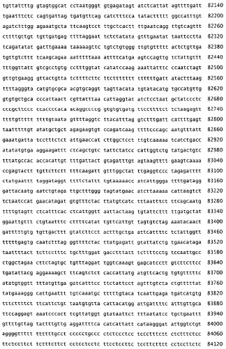 Применение s1p (патент 2362565)