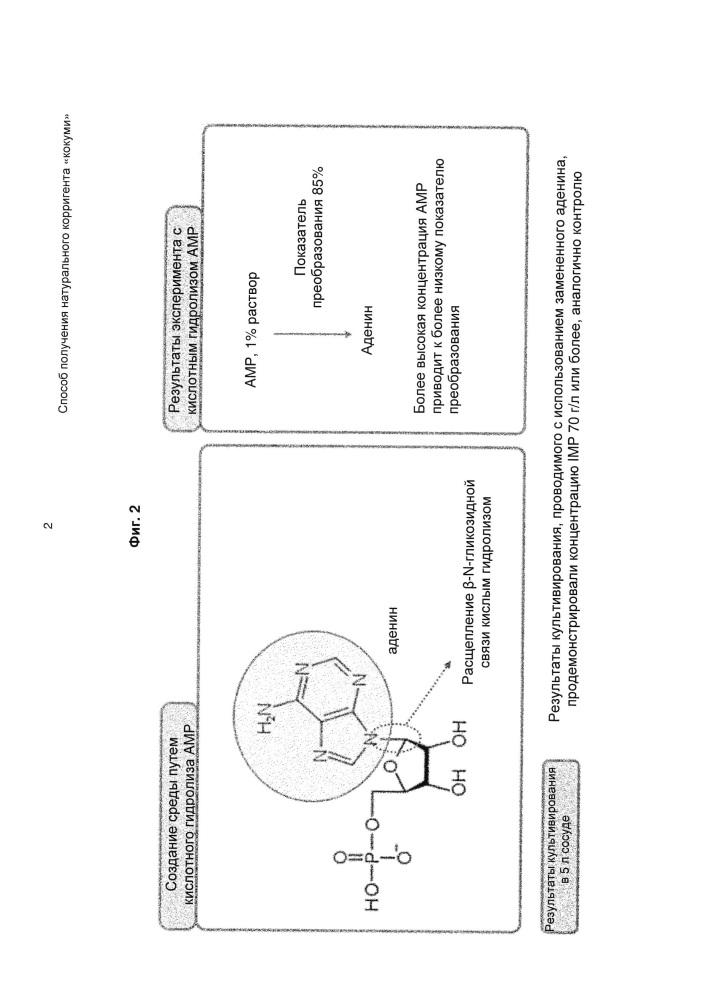 Способ получения натурального корригента "кокуми" (патент 2637320)