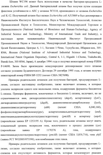 Способ получения l-треонина с использованием бактерии, принадлежащей к роду escherichia, в которой инактивирован оперон ycbponme (оперон ssueadcb) (патент 2392326)