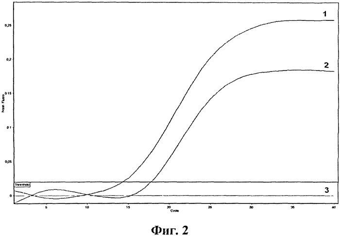 Набор олигодезоксирибонуклеотидных праймеров и флуоресцентно-меченого зонда для идентификации днк бокавируса человека (патент 2541772)