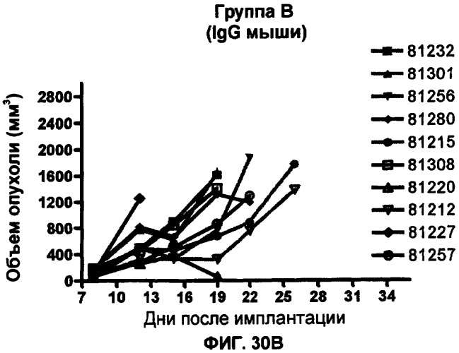 Моноклональные антитела человека к белку программируемой смерти 1 (pd-1) и способы лечения рака с использованием анти-pd-1-антител самостоятельно или в комбинации с другими иммунотерапевтическими средствами (патент 2406760)