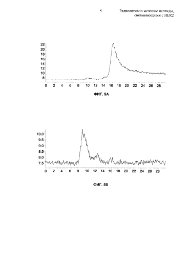 Радиоактивно меченые пептиды, связывающиеся с her2 (патент 2592685)