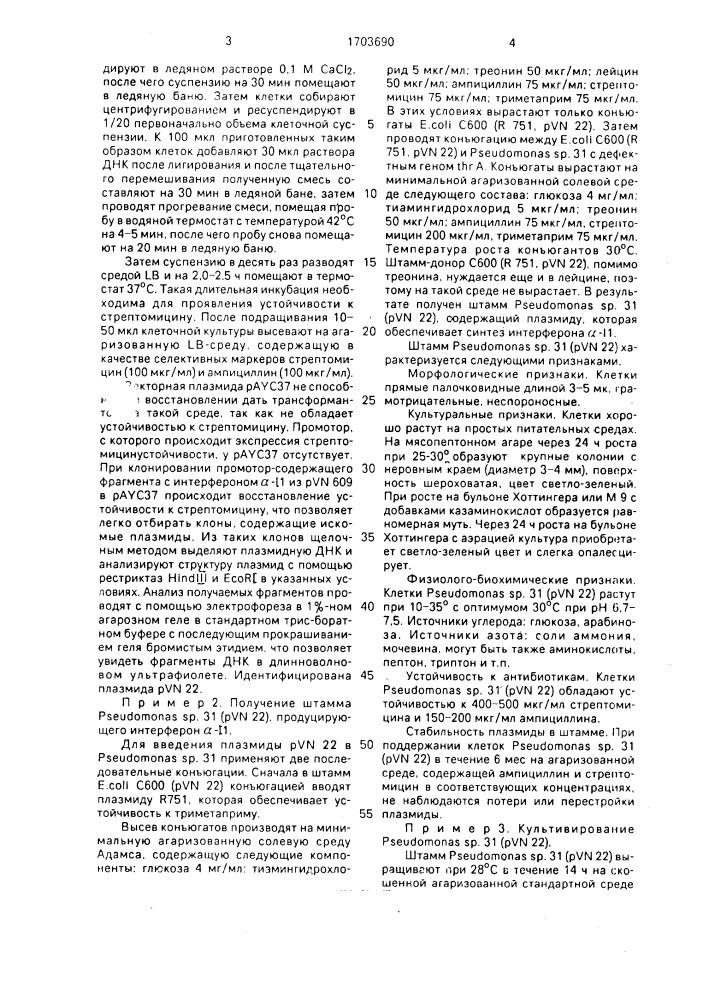 Рекомбинантная плазмидная днк @ 22, кодирующая синтез интерферона @ -11 человека, и штамм бактерии рsеudомоnаs sp. -продуцентинтерферона @ -11 человека (патент 1703690)