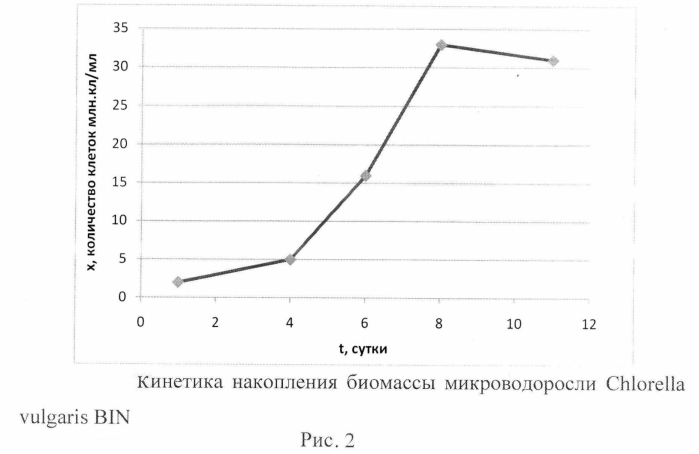 Способ культивирования биомассы с повышенным содержанием липидов (патент 2569149)