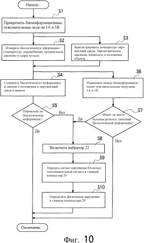 Система контроля биологической информации (патент 2336808)
