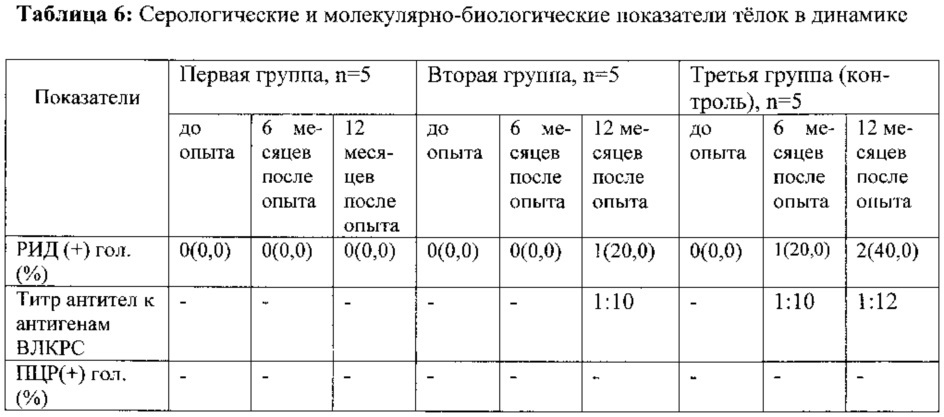 Способ профилактики постнатального заражения вирусом лейкоза крупного рогатого скота молодняка крупного рогатого скота (патент 2621146)
