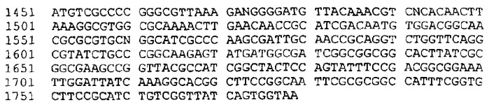 Антигены neisseria meningitidis (патент 2343159)