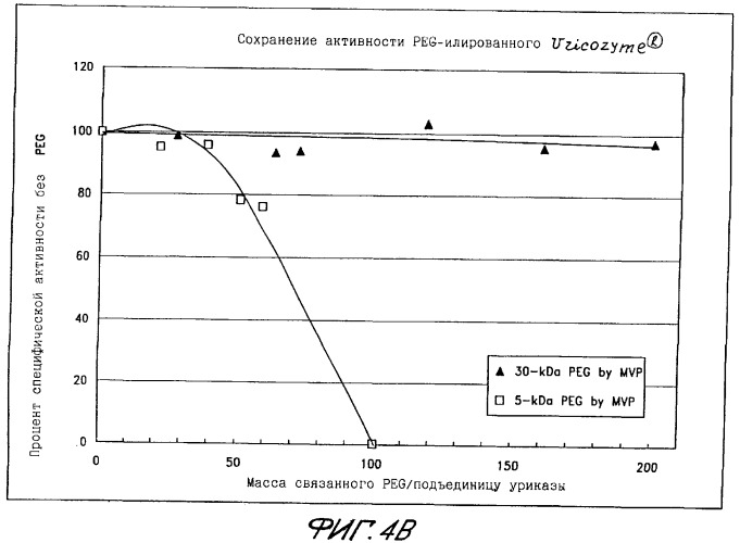 Конъюгаты peg-уратоксидазы, их использование, способ изолирования тетрамерной формы уриказы (патент 2349341)