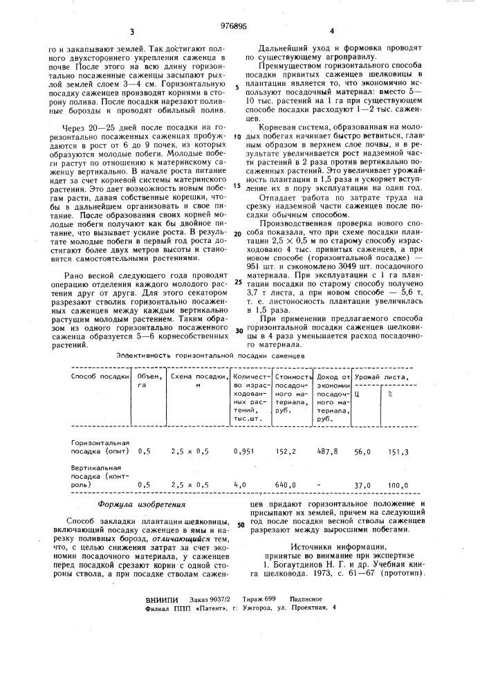 Способ закладки плантации шелковицы (патент 976895)
