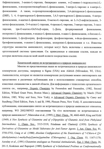 Система экспрессии компонентов ортогональной трансляции в эубактериальной клетке-хозяине (патент 2467069)