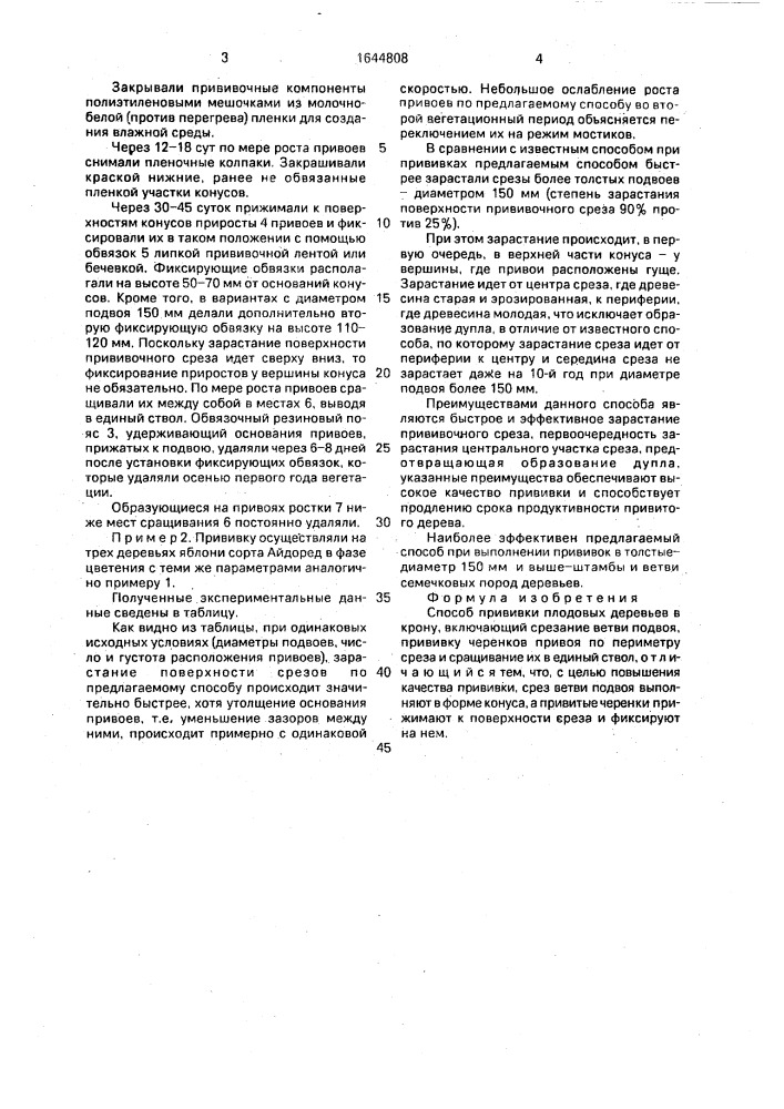Способ прививки плодовых деревьев в крону (патент 1644808)