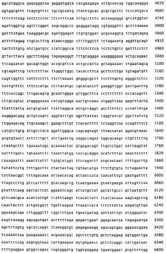 Применение s1p (патент 2362565)
