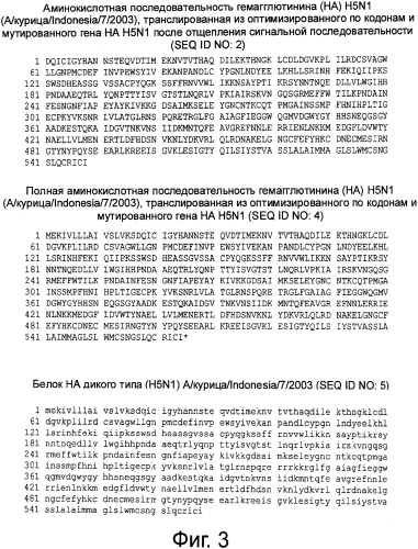 Рекомбинантная вакцина от птичьего гриппа и её применение (патент 2559527)