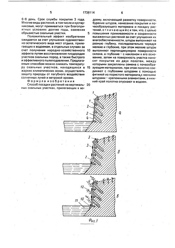 Способ посадки растений на вертикальных скальных участках, прилегающих к водоему (патент 1738114)