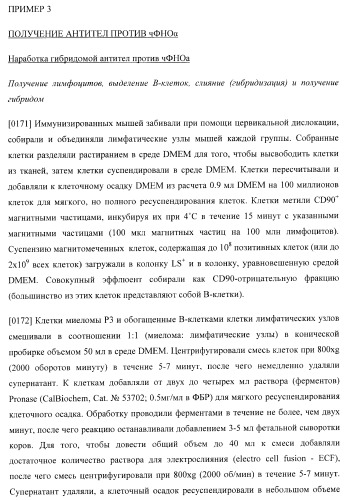 Антитела, специфичные к фактору некроза опухолей, и их применение (патент 2377253)