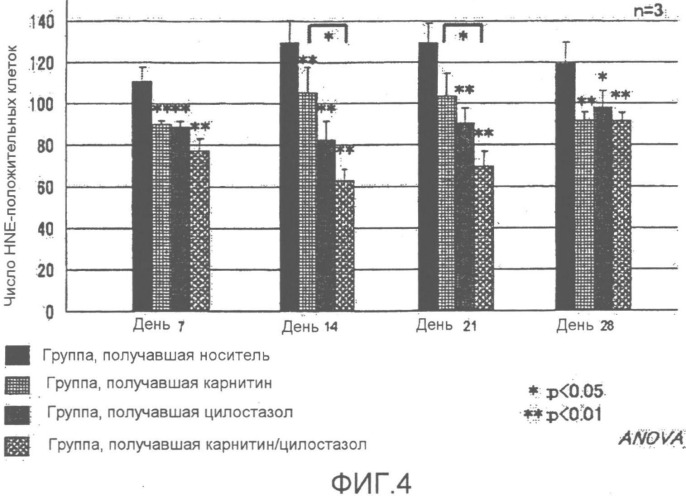 Комбинация карбостирила и карнитина (патент 2506950)