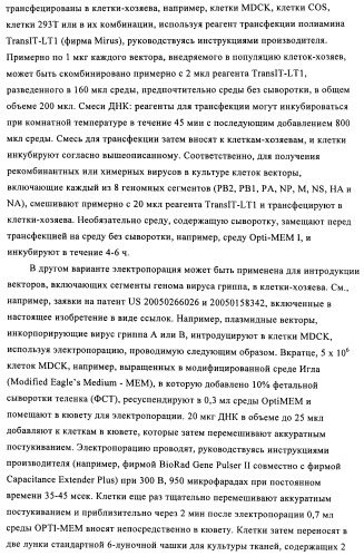 Способы и композиции для экспрессии антисмысловой вирусной рнк в клетках собаки (патент 2457250)