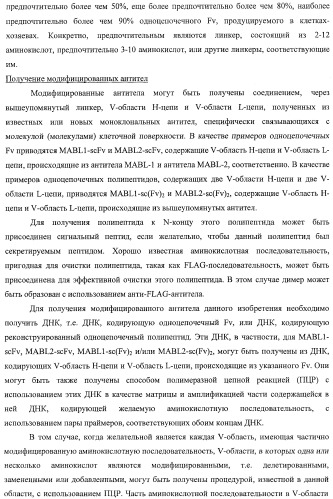 Агонистическое соединение, способное специфически узнавать и поперечно сшивать молекулу клеточной поверхности или внутриклеточную молекулу (патент 2430927)