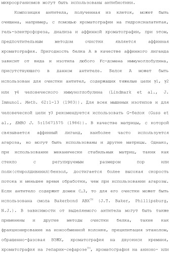 Антитела против вируса гепатита с (патент 2462475)
